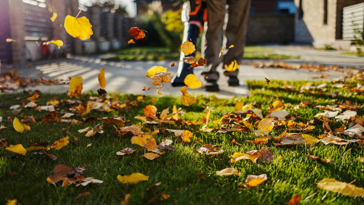 7 fall lawn care tips that set your grass up for success next spring