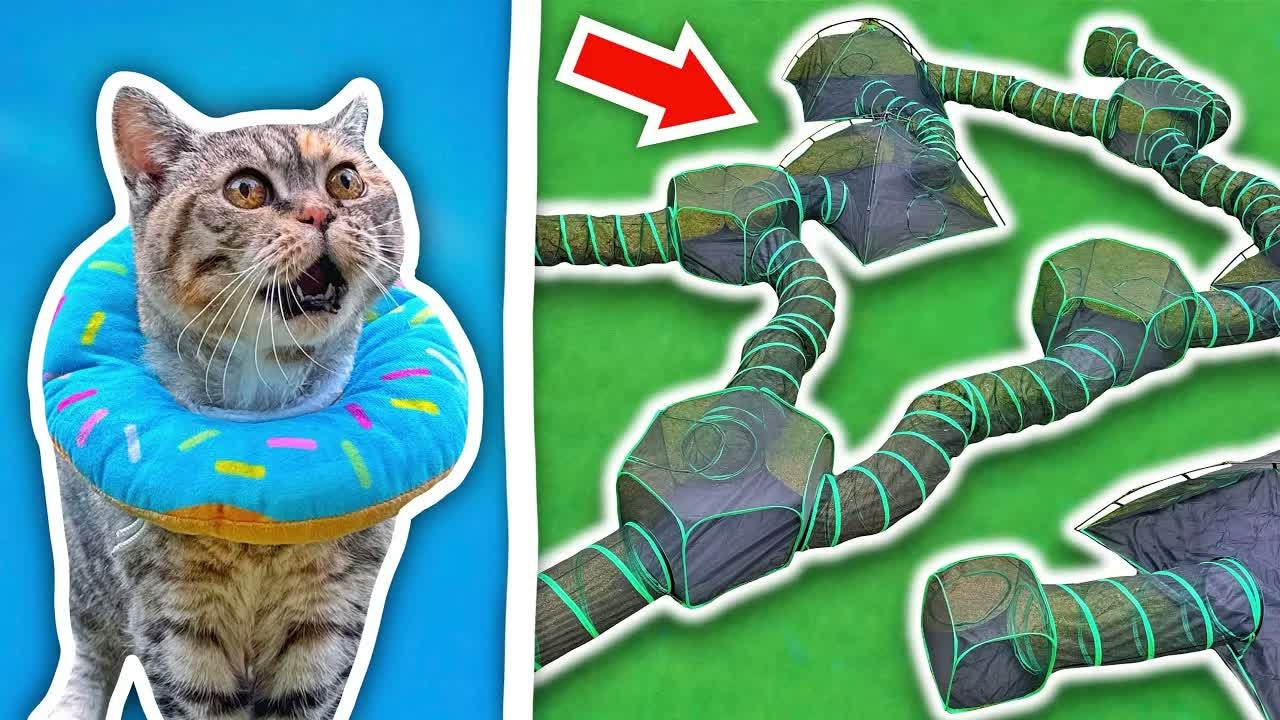 He built his cats a massive outdoor tunnel maze