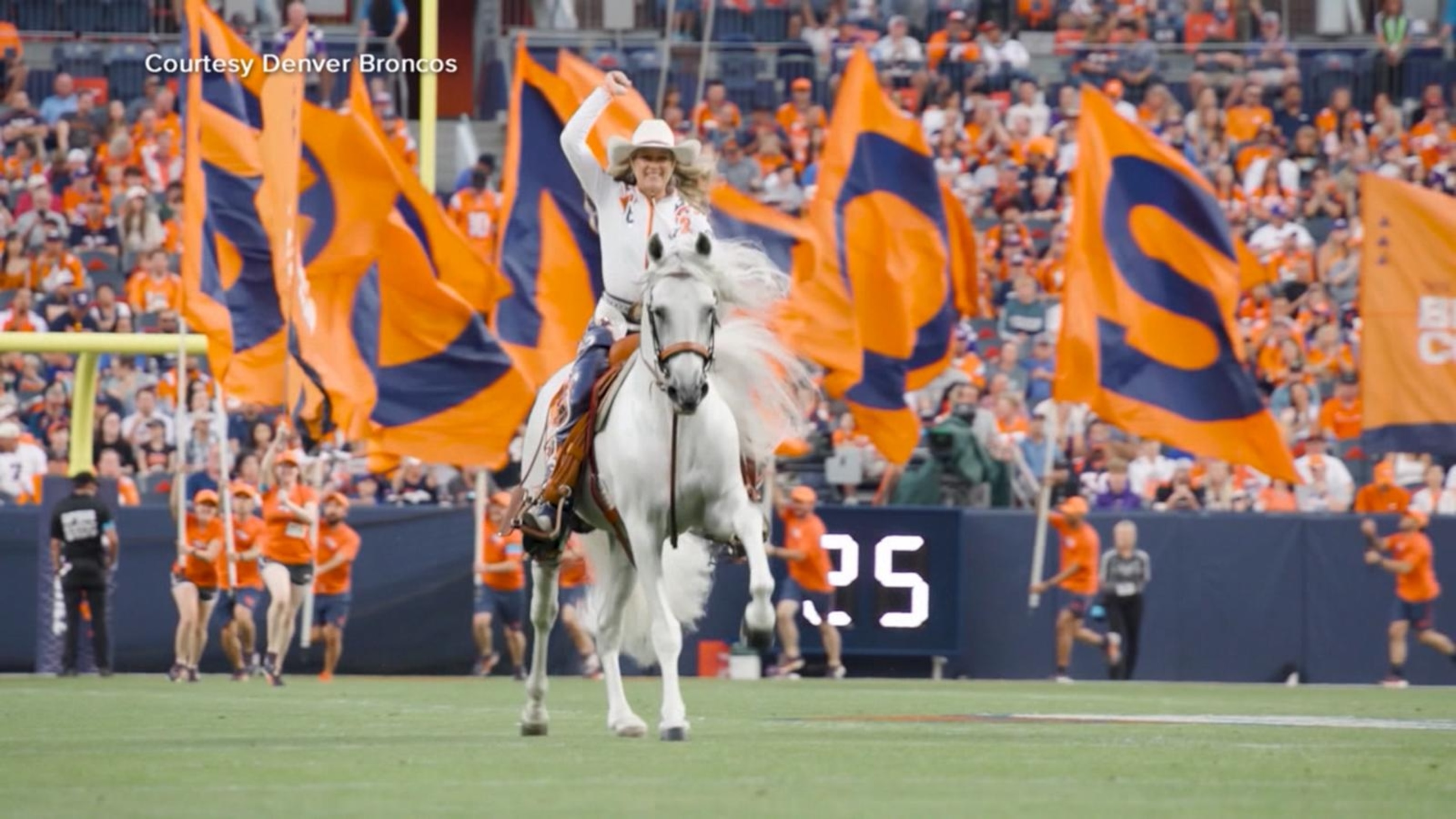 Meet the Denver Broncos’ real-life mascot