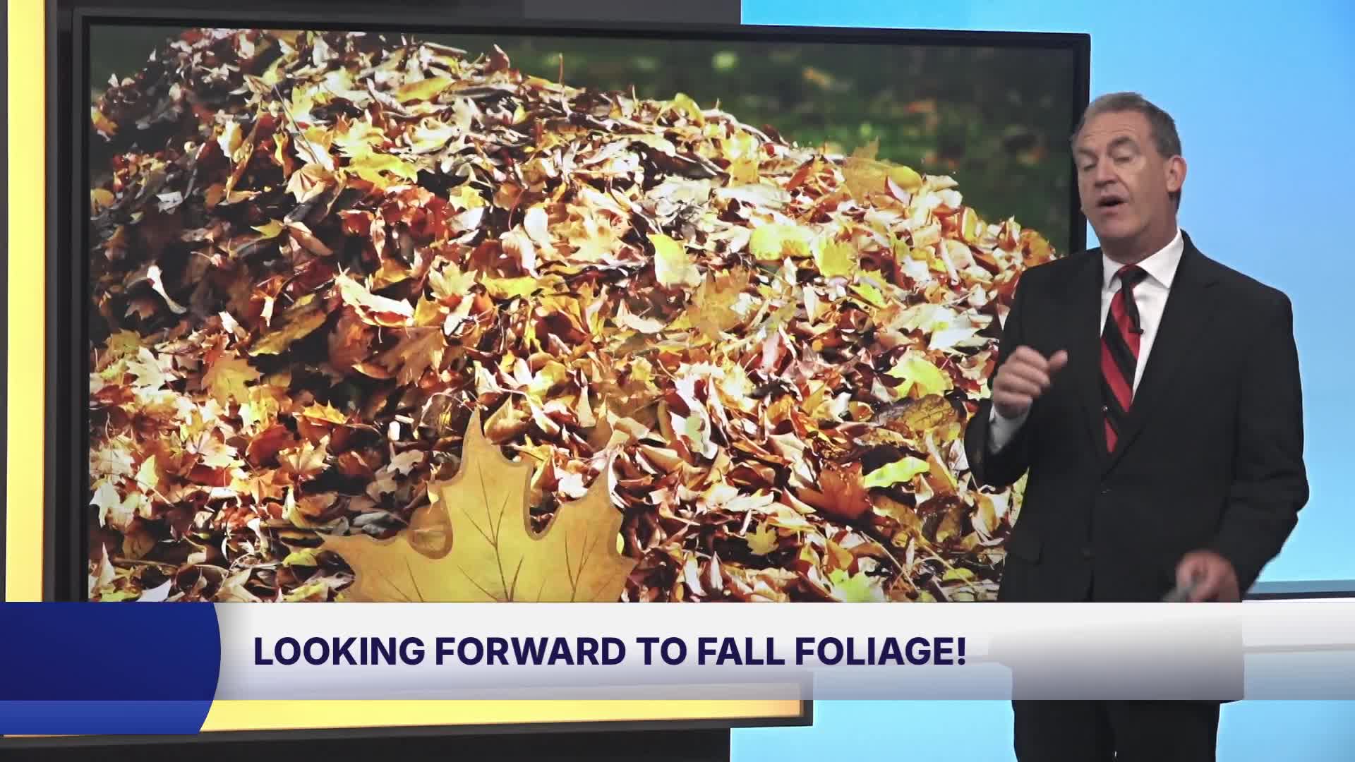 What to know about the fall foliage