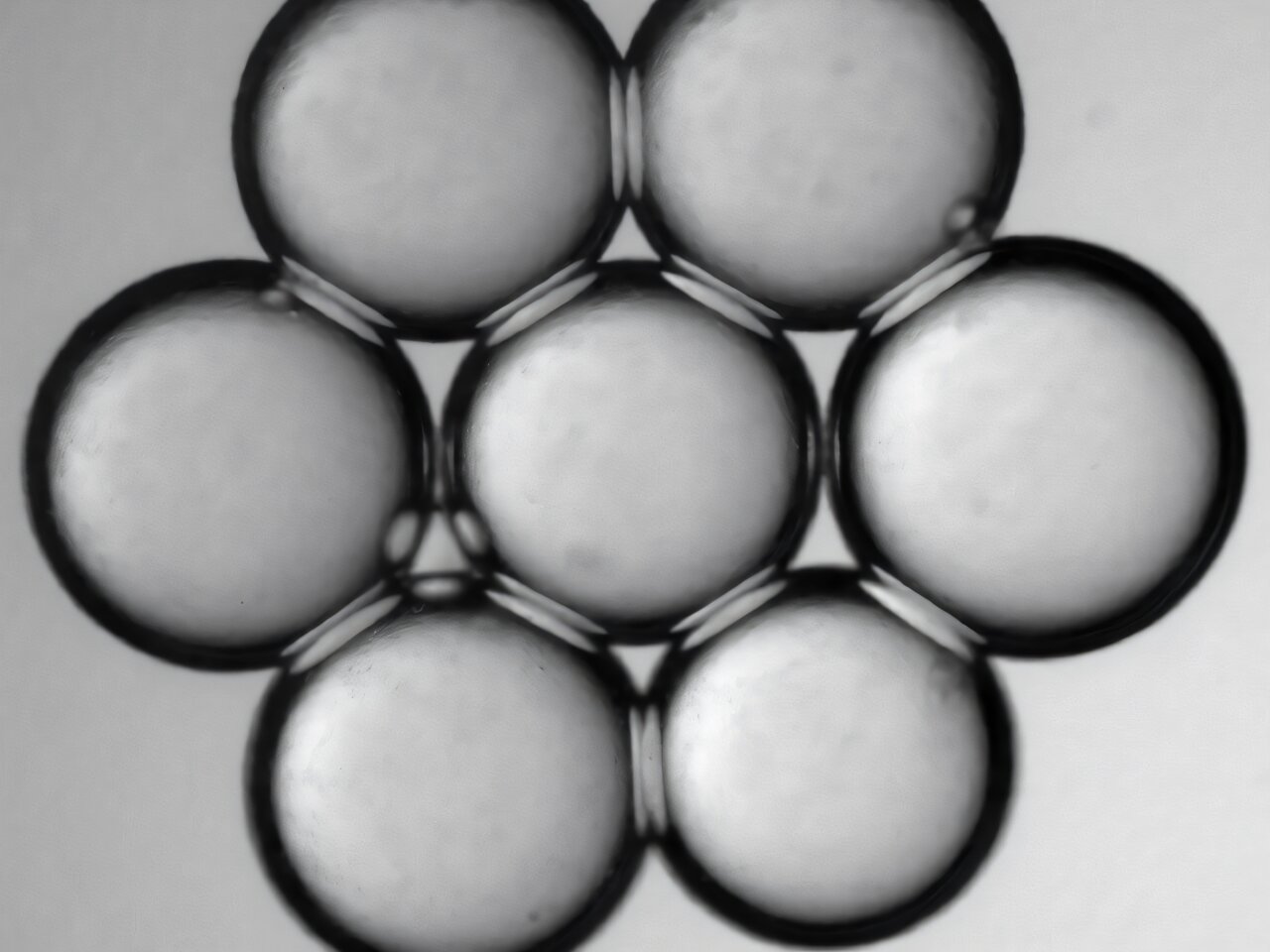Tiny droplets form soft networks for brain-inspired computing