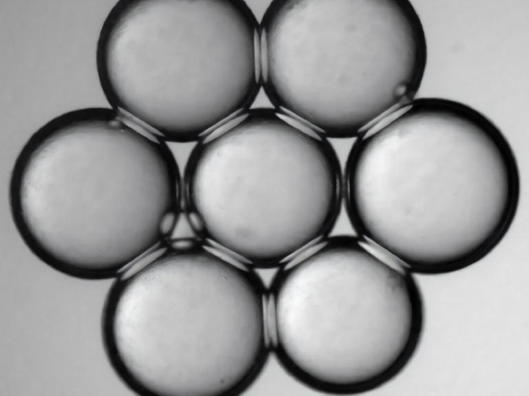 Tiny droplets form soft networks for brain-inspired computing