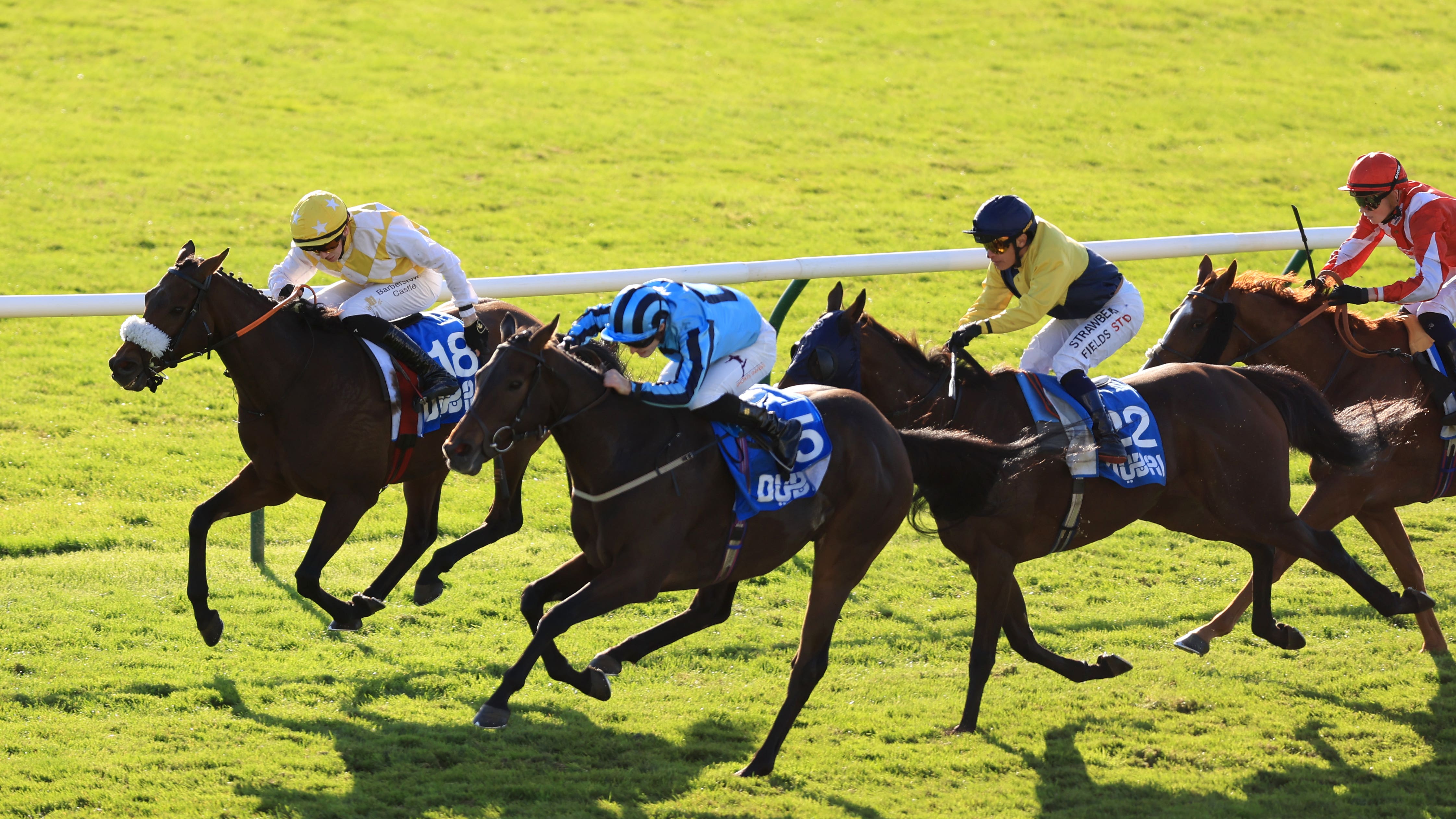 Ellison confident Sea Lantern can step up to group level