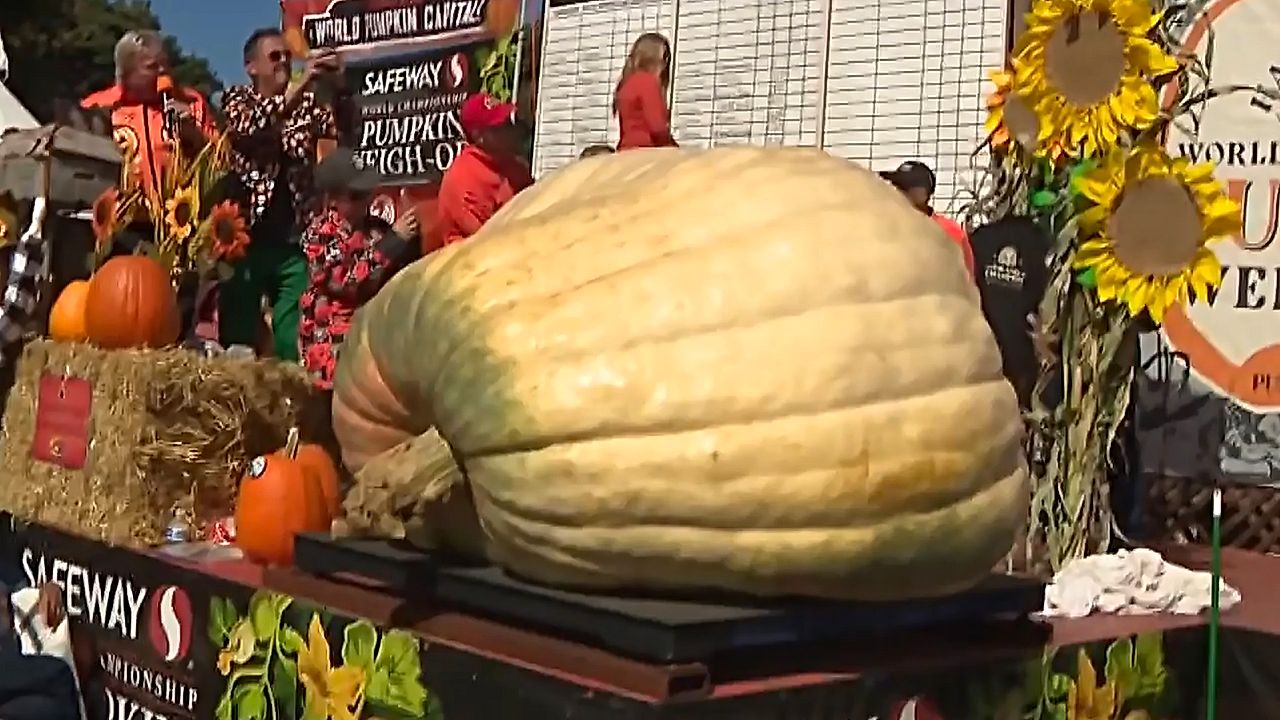 Monster pumpkin 'Rocky' tips the scales at 2,389 pounds to win world ...