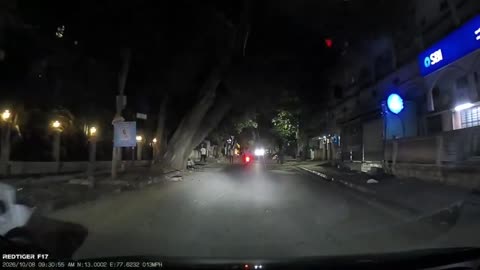 India: Tree comes crashing down in Bengaluru as bike passes through ...