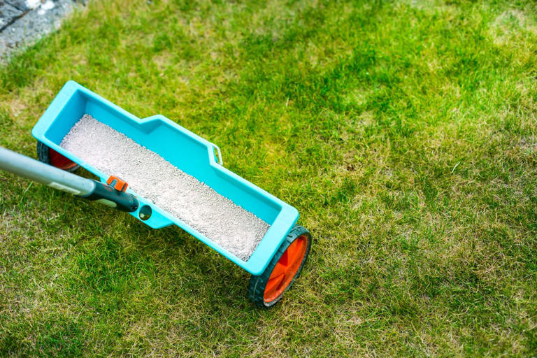 Is fertilizing your lawn in the fall a waste of money? We asked a lawn pro