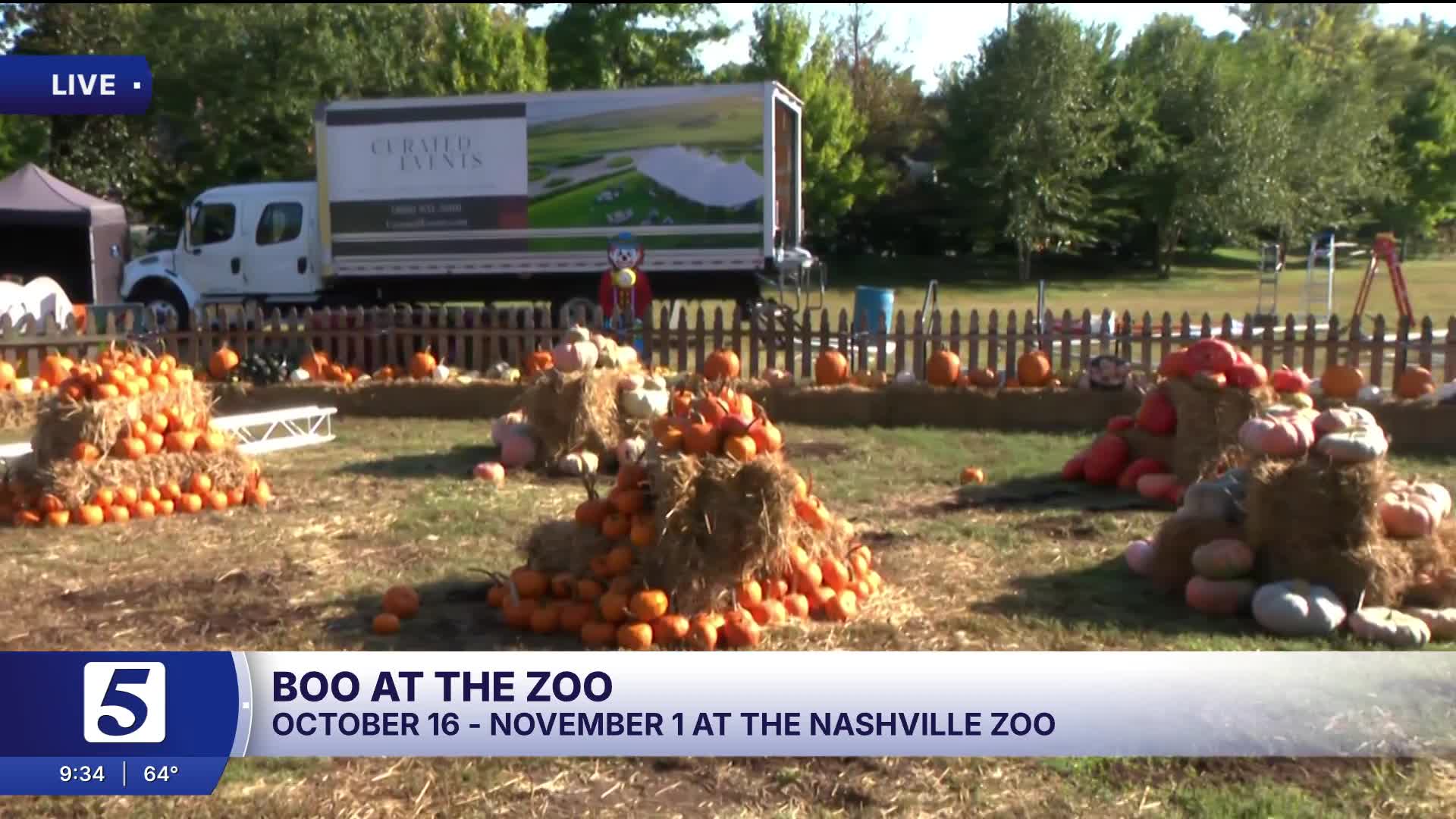 Nashville Boo at the Zoo kicks off this weekend