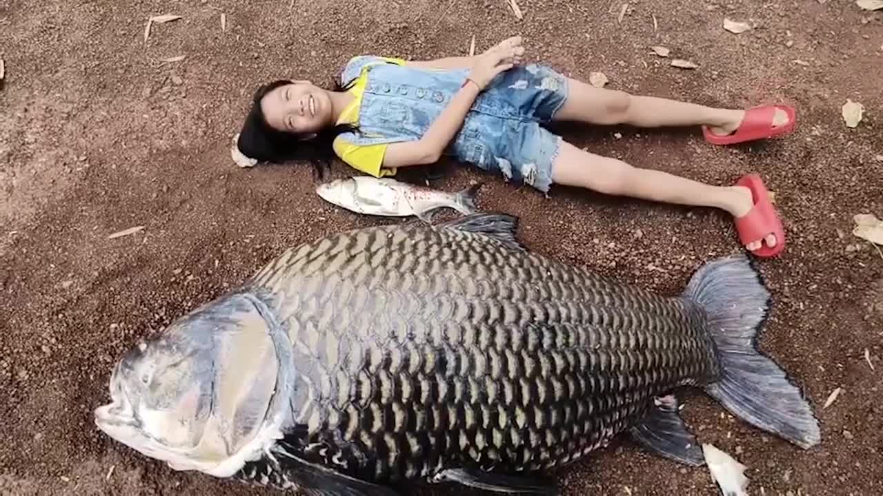Locals haul ashore Siamese giant carp bigger than a schoolgirl