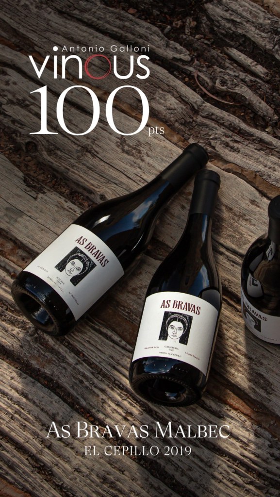 Alejandro Vigil llega a los 25 vinos con 100 puntos con un Malbec del ...
