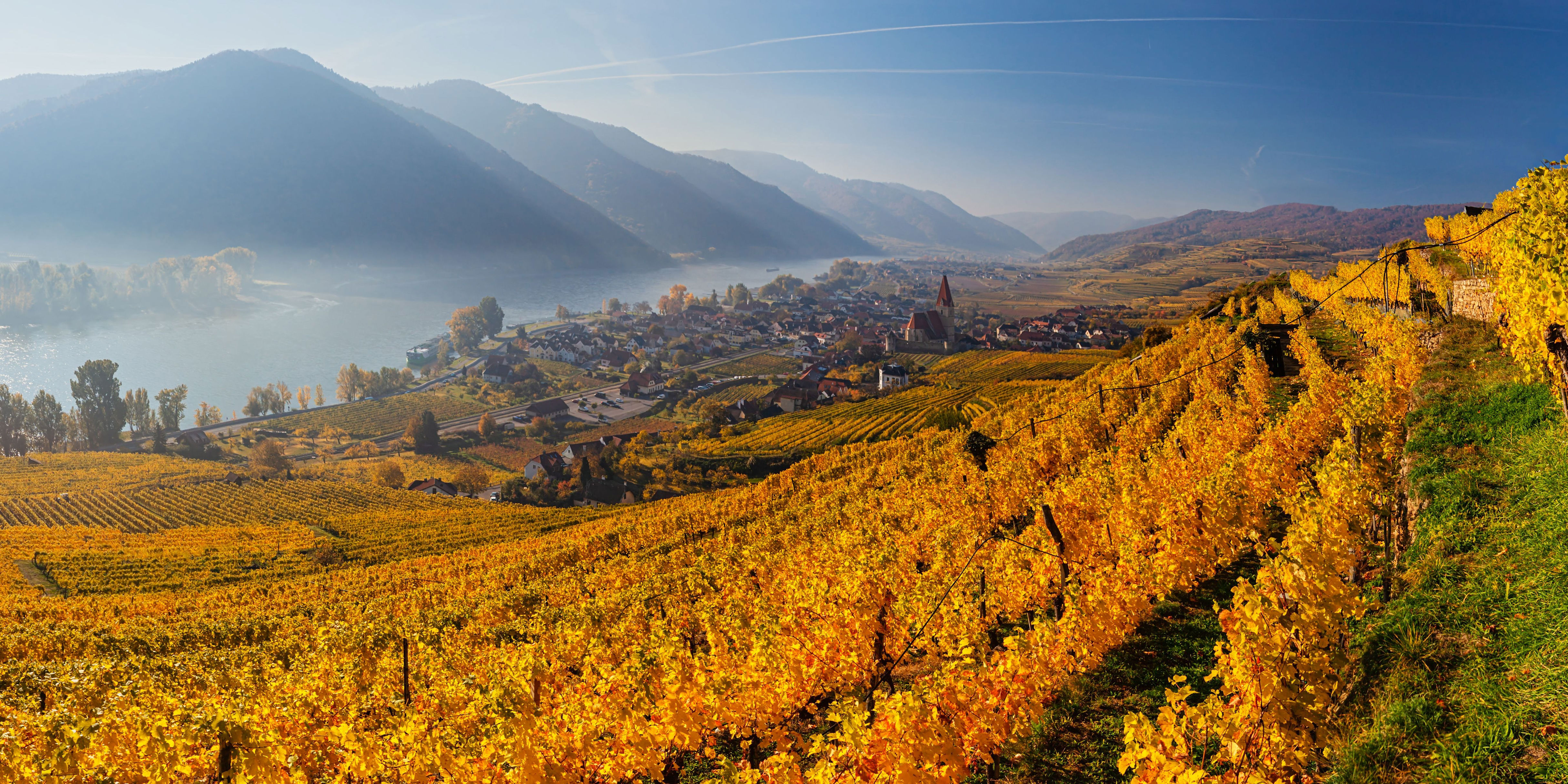 Perfektes Herbstziel: Österreichische Weinregion zählt zu den besten ...