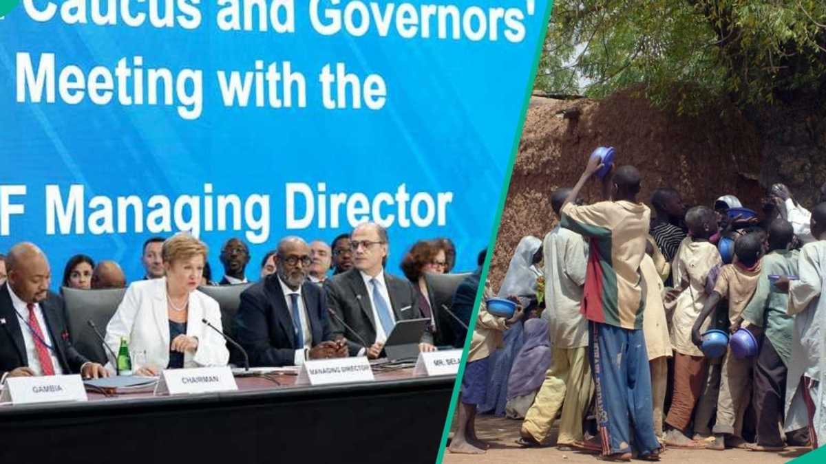 Find out more as IMF advises Tinubu, says Nigerians are suffering