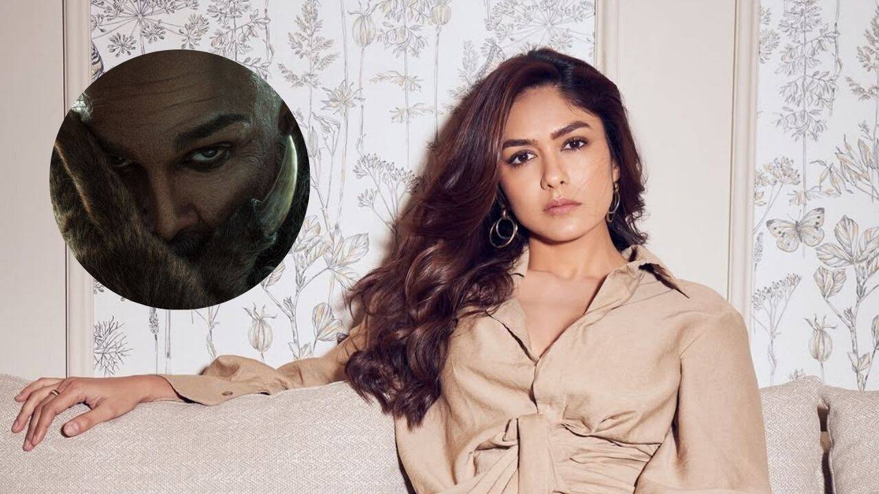 Mrunal Thakur says she hasn’t signed a film in nine months amid 'Raaka ...