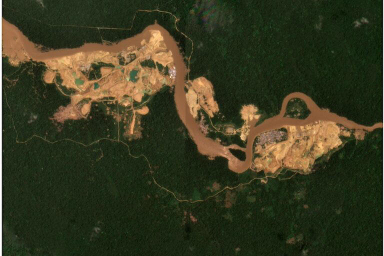 Protected areas are not for mining: Interview with WWF’s Nadège Nzoyem