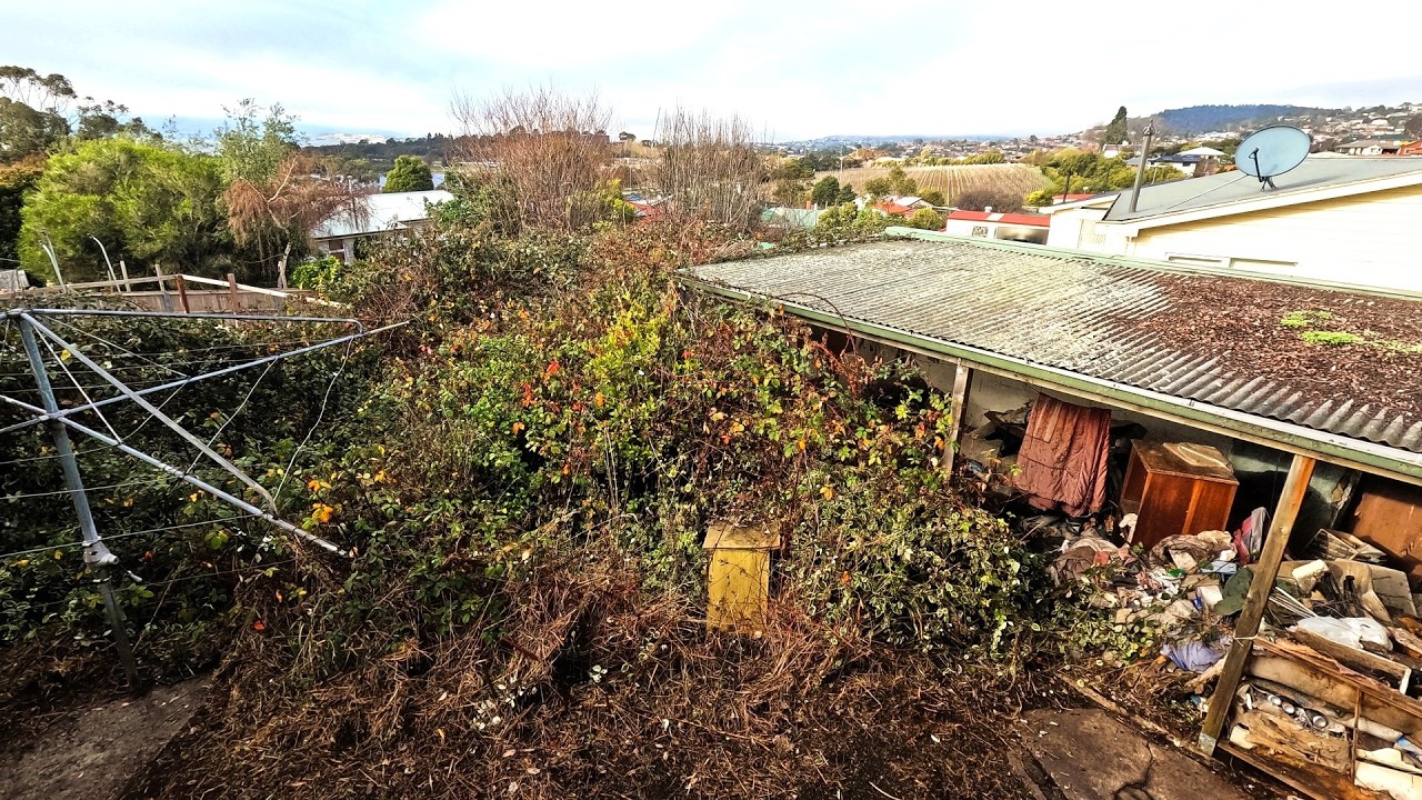 The backyard of doom: Bringing a whole new meaning to garden nightmare!