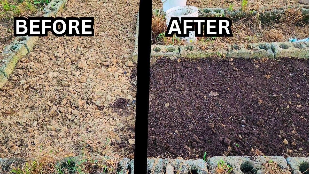 How to make a three ingredient soil mix for garden plants