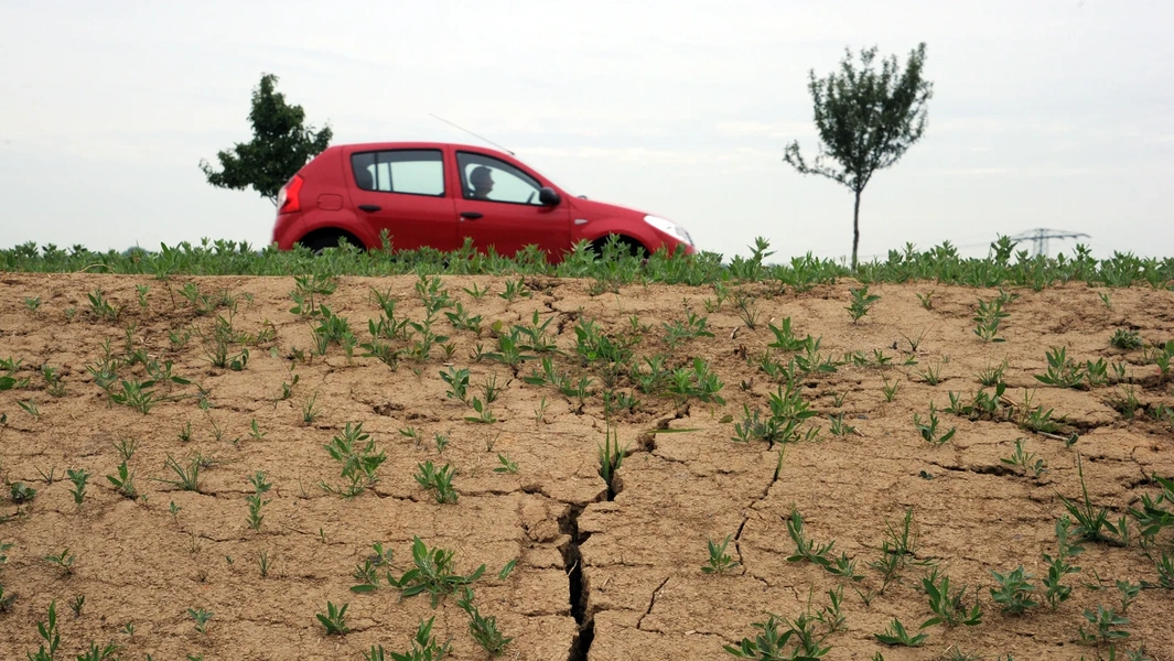 Fall cover crops boost clay soil health for spring