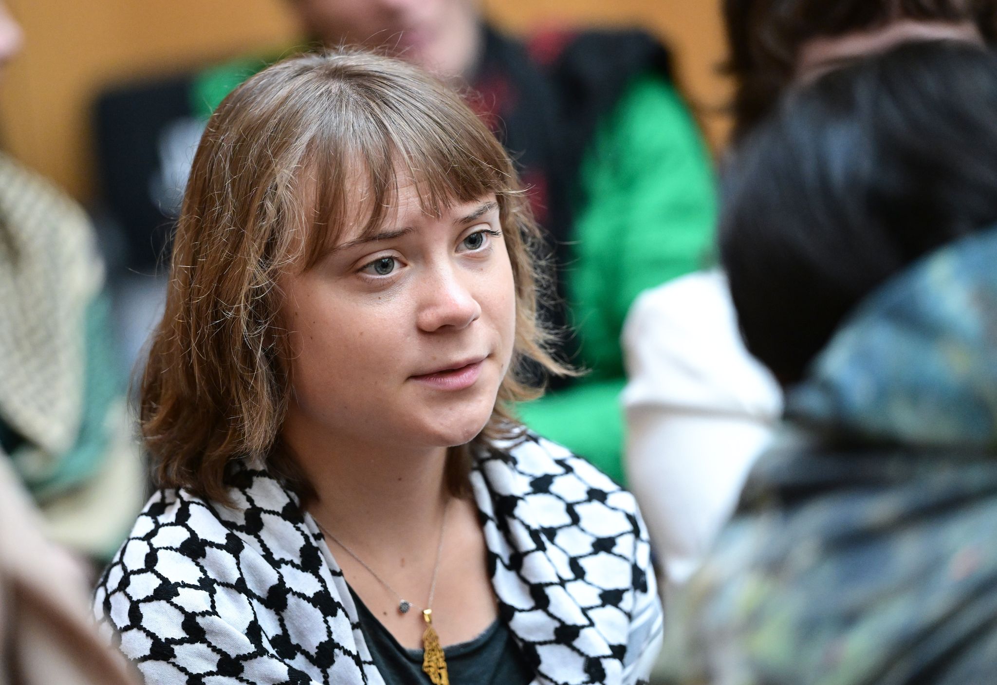 Greta Thunberg joins French student protests over school funding