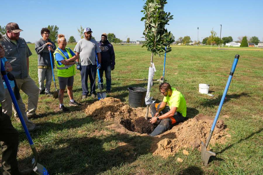 Owensboro Parks and Recreation plants trees at Waymond Morris Park