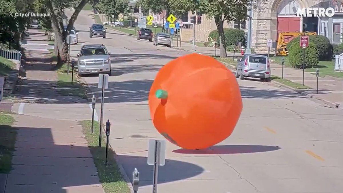 Giant pumpkin goes full Indiana Jones rolling down the street in high winds