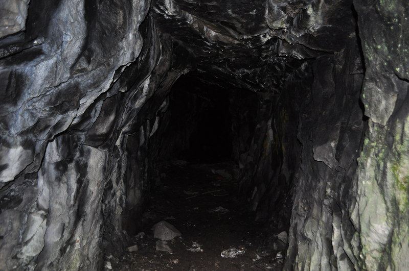 Medieval teeth reveal remarkable lead exposure