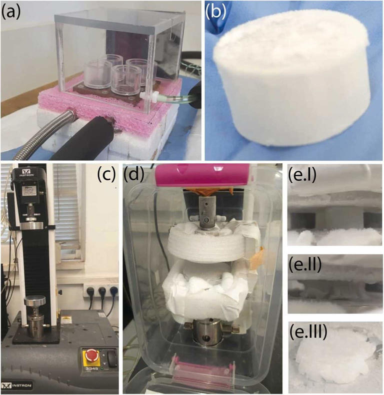 This new super ice absorbs 70 times more energy before breaking and ...