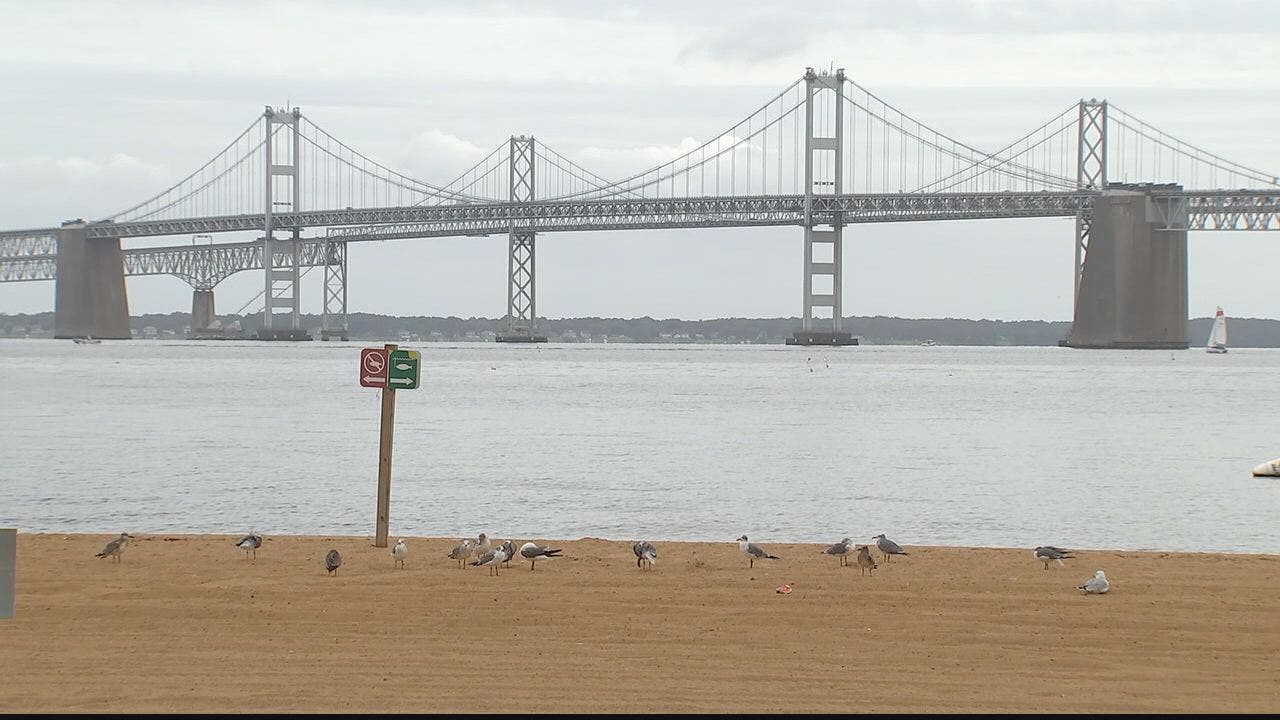 Chesapeake Bay report card: C+ grade marks highest health score in 40 years