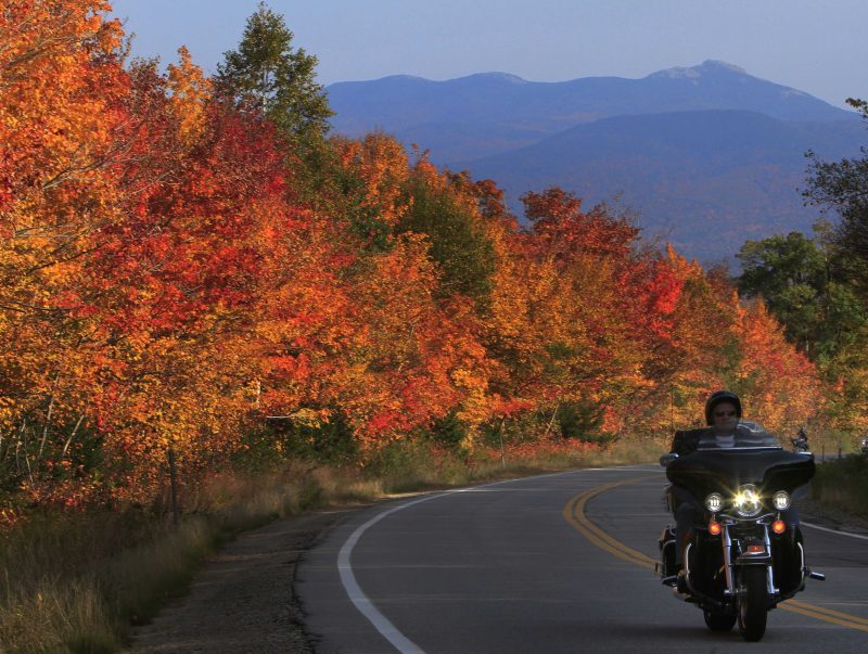Driving safety tips as the leaves begin to fall