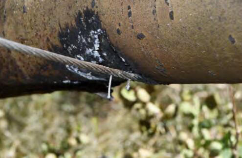 Colorado report finds Aspen Acres Fire was sparked by tree falling onto ...