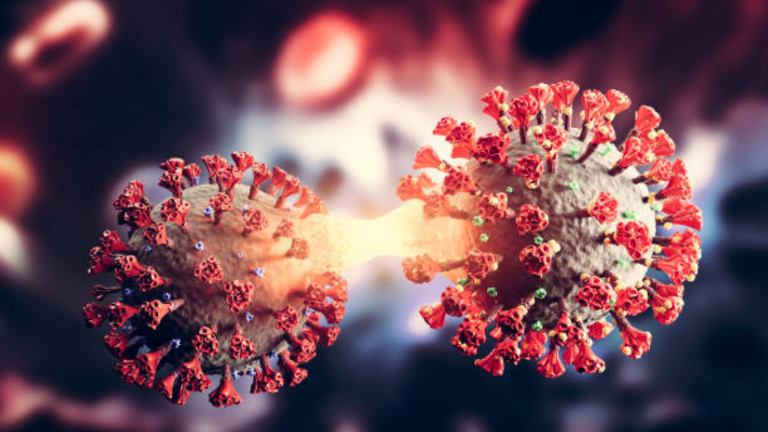 XFG variant in Spain: COVID-19 cases rise amid respiratory infection surge
