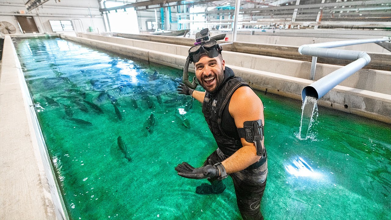 Exploring Florida's trophy bass factory