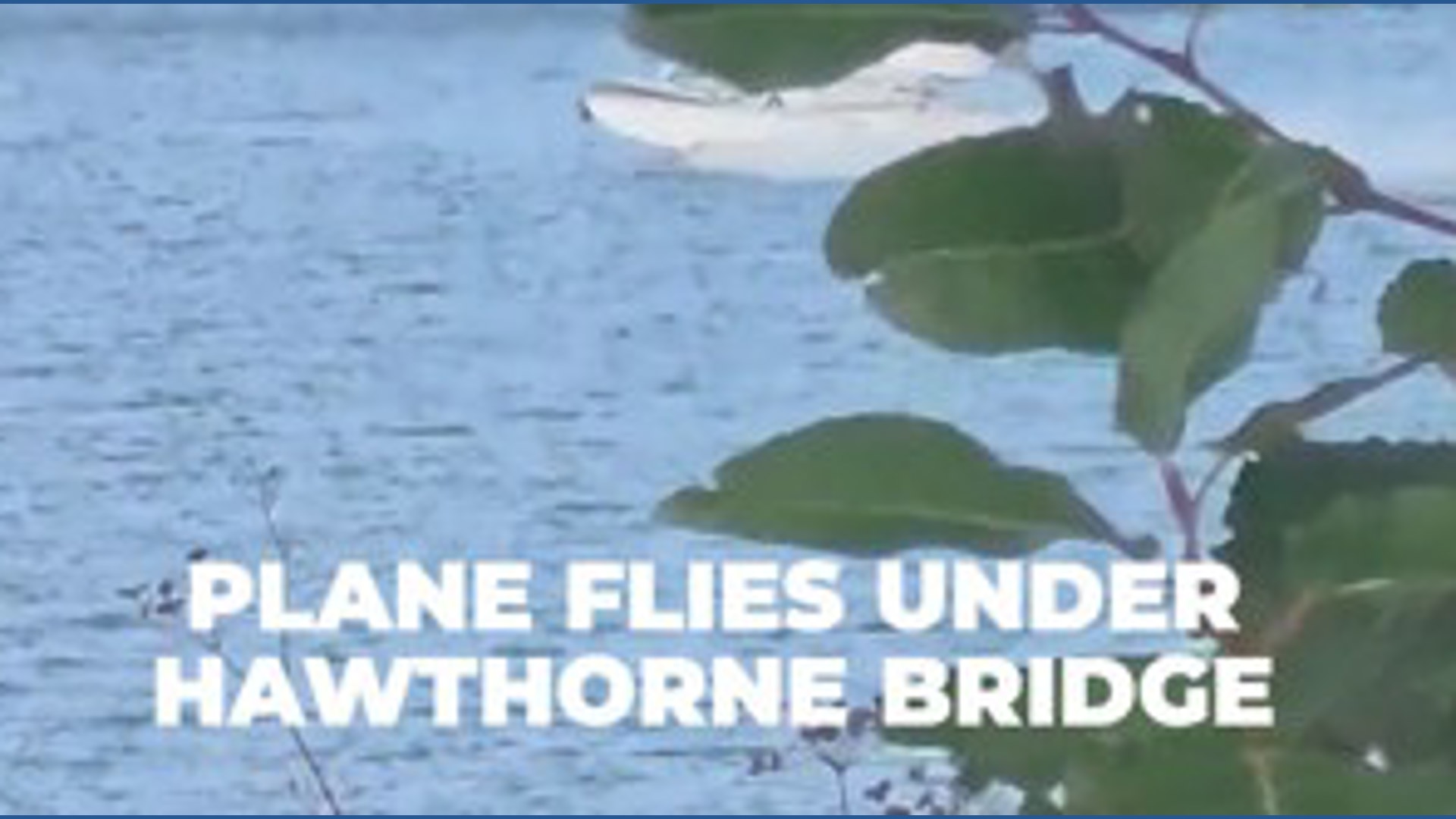 Plane filmed flying under Hawthorne Bridge
