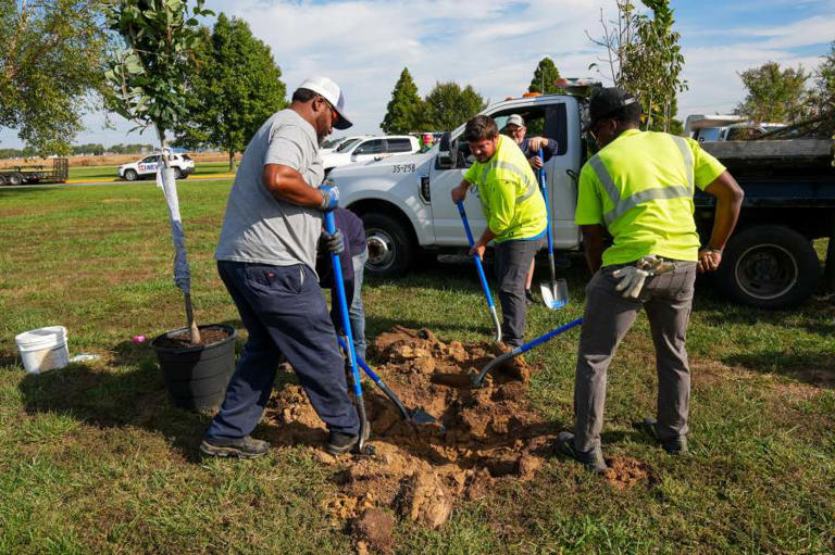 Owensboro Parks and Recreation plants trees at Waymond Morris Park
