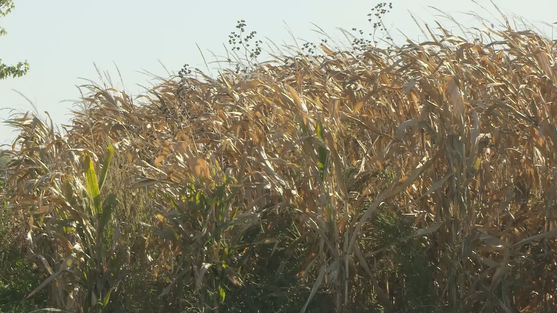 Woodbury County firefighters urge farmers to keep equipment handy ...