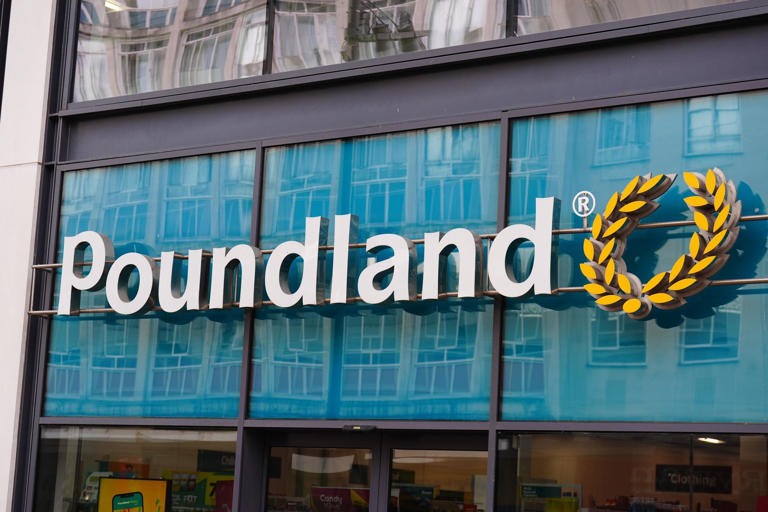 Fears for Poundland's future - but company report strong performance