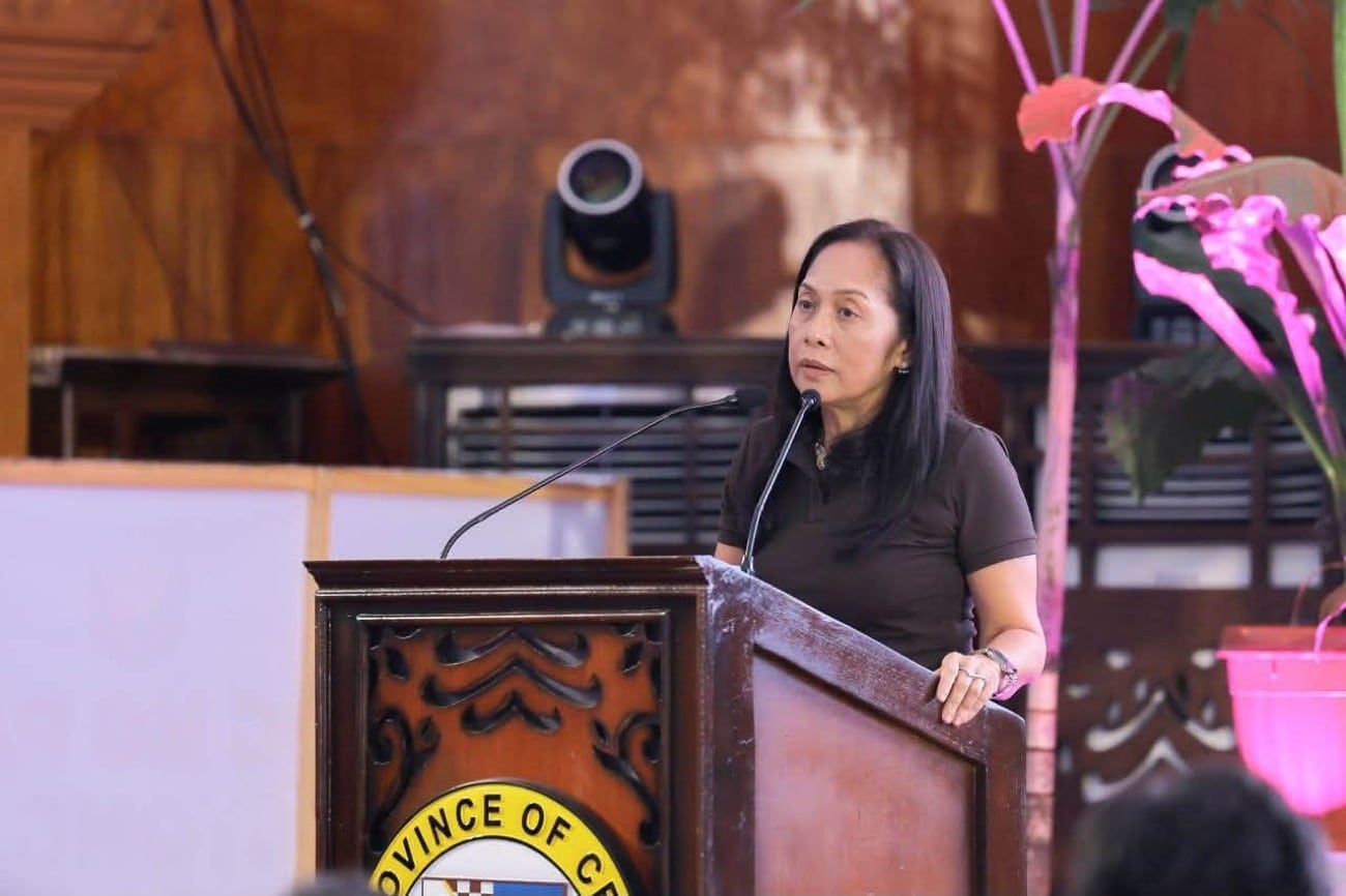 Visayas power woes may persist until 2028, DOE chief warns