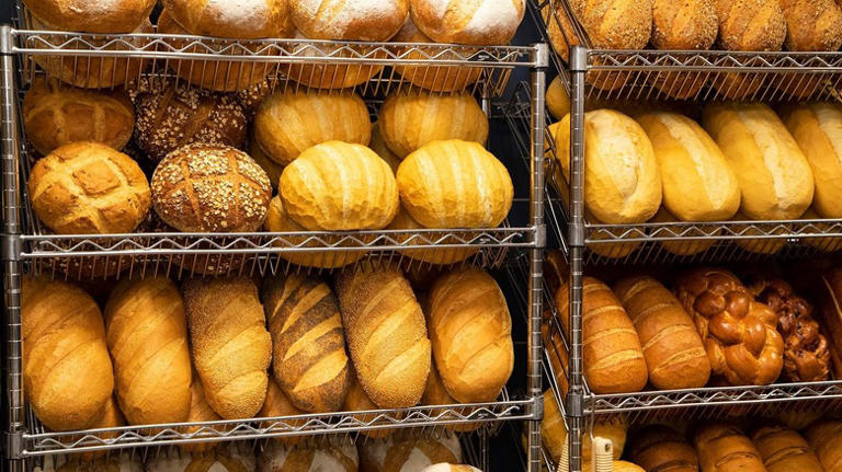 10 Publix items first-timers must not skip