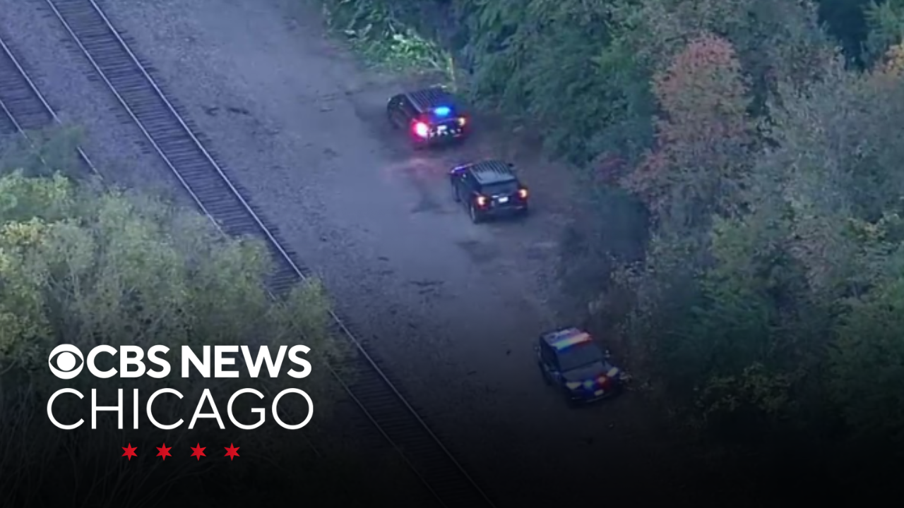 Metra BNSF line service resumes after man hit, killed by train in ...