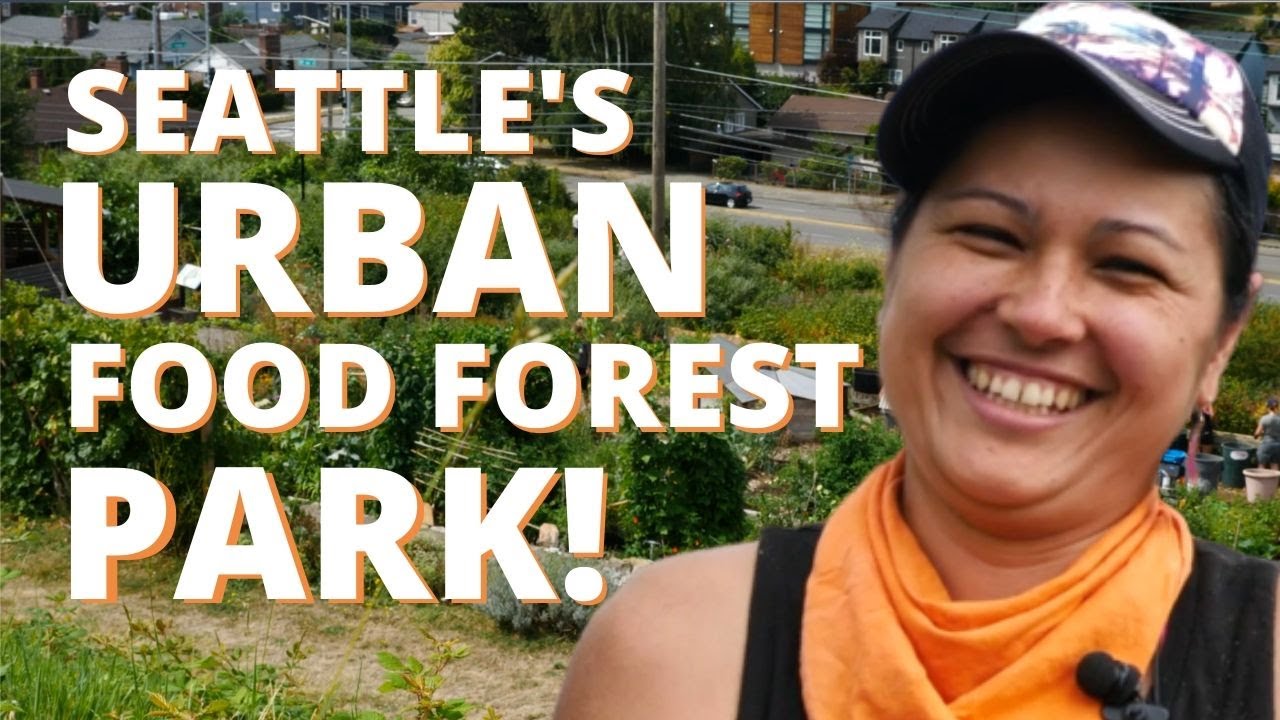 Inside Seattle’s unique urban food forest