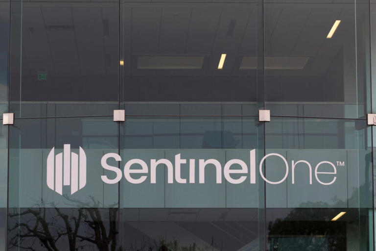 SentinelOne stock falls as it proposes $1.25 billion in convertible notes