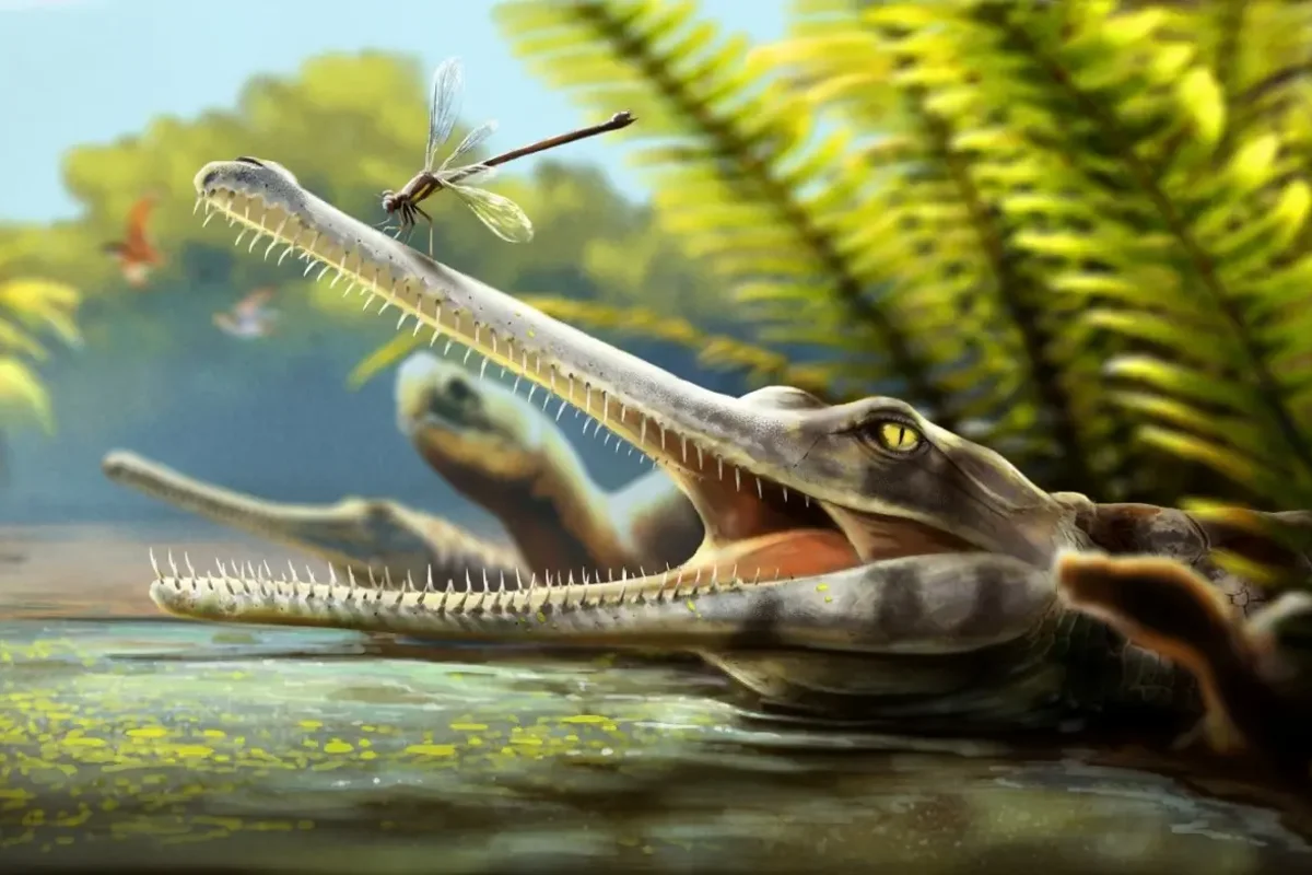 Fossilised dinosaur-era reptile discovered in Morocco