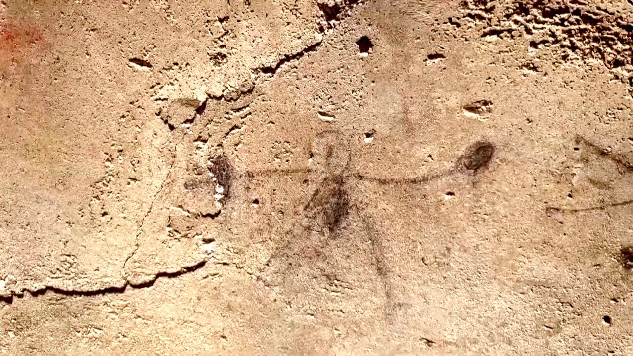 Pompeii drawings reveal children may have witnessed gladiator fights