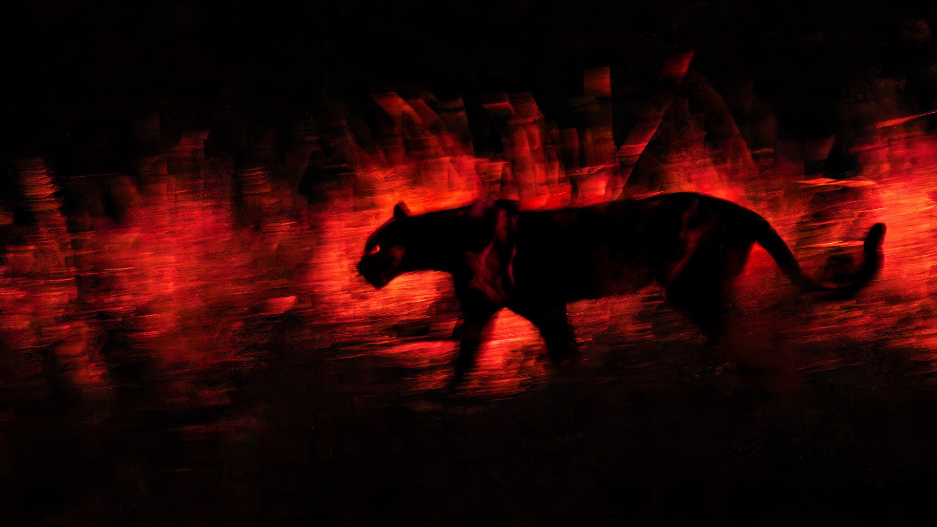 Slow shutter speed and sky-high ISO for wildlife photography – you must ...