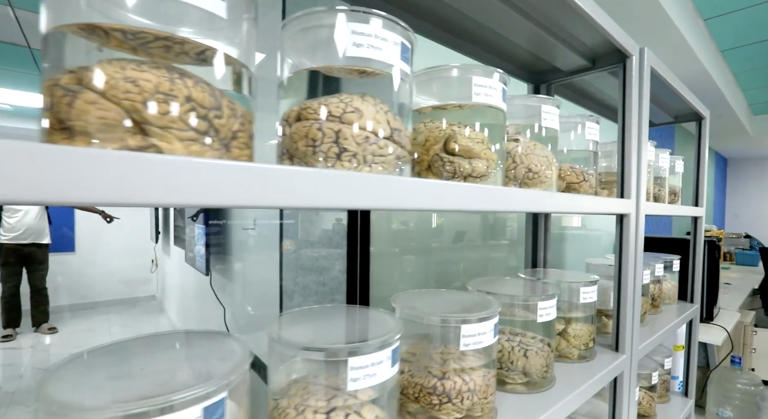 IIT-Madras wants to zoom deep inside human brain. PM tasks them to ...