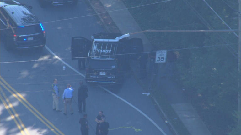 Child, woman held at gunpoint before DeKalb police shoot armed man