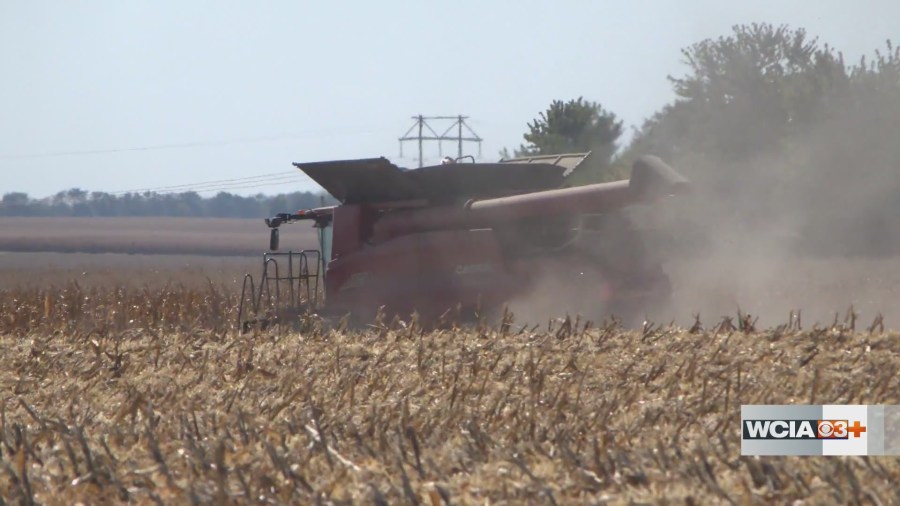 The corn crop is just a tinder keg: field fire concerns continue amid ...