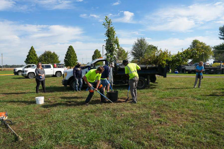 Owensboro Parks and Recreation plants trees at Waymond Morris Park