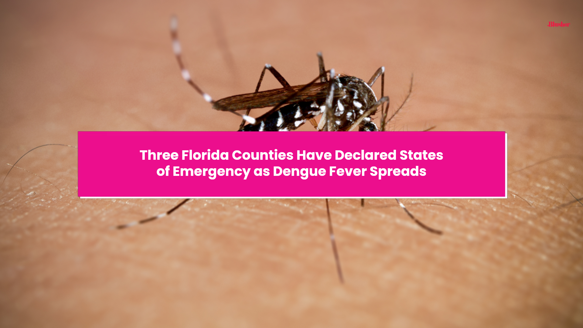 Three Florida counties have declared states of emergency as dengue ...