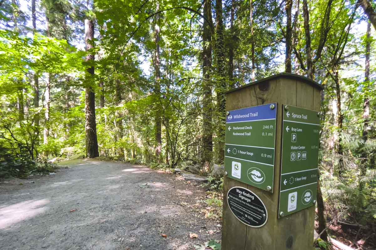 Portland has a free 190-acre tree collection with 12 miles of trails ...