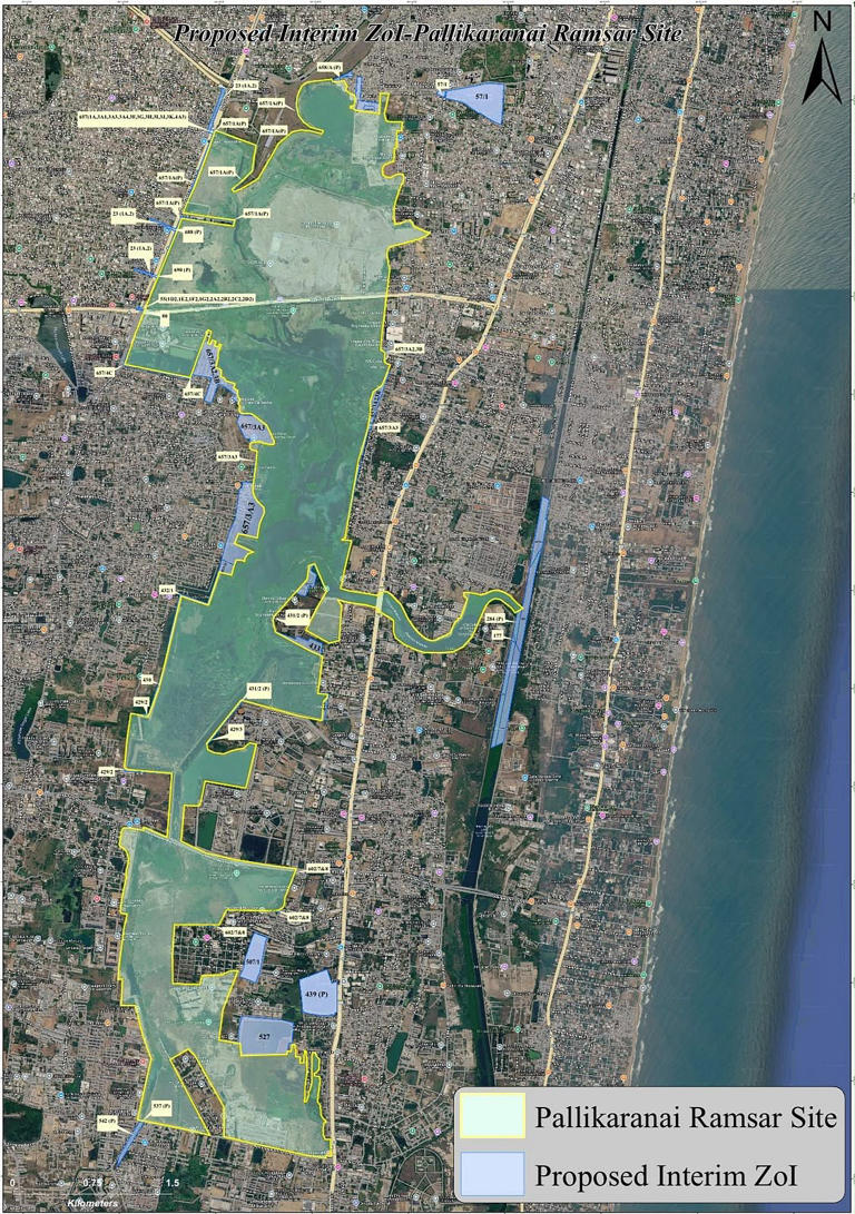 Pallikaranai buffer zone shrunk by 96%, raising concerns over wetland ...
