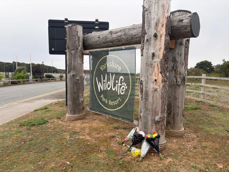 Donald Trump posts AI video of himself tackling killer zoo tiger